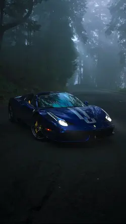 FERRARI PERFECT 