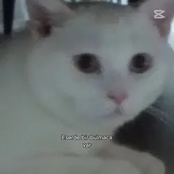 Eserde bir bulmaca v