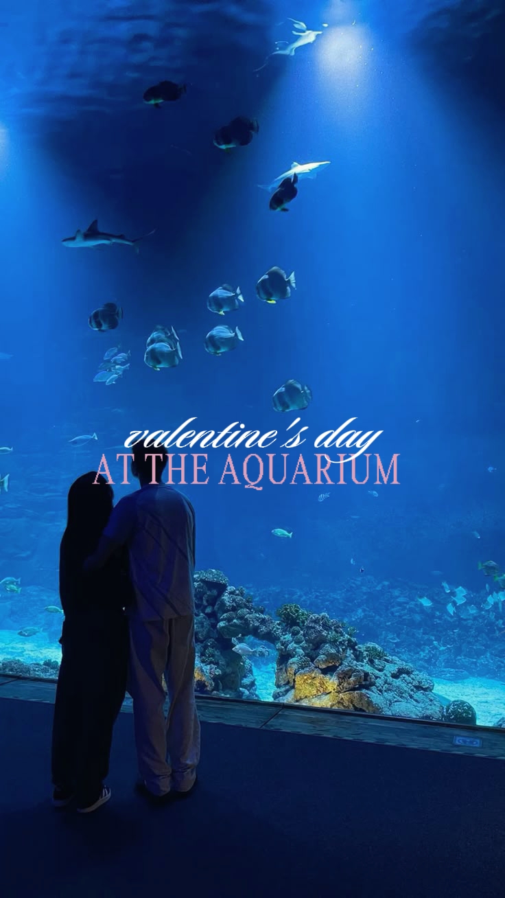 valentine @ aquarium