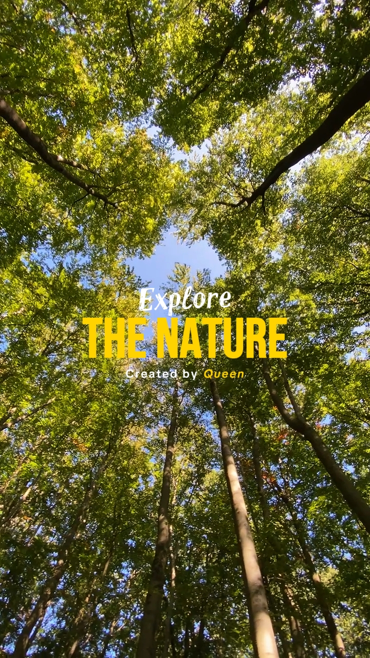 Nature Explore 