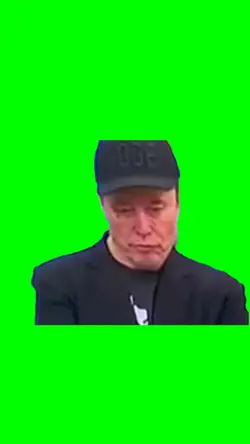 elon glitch