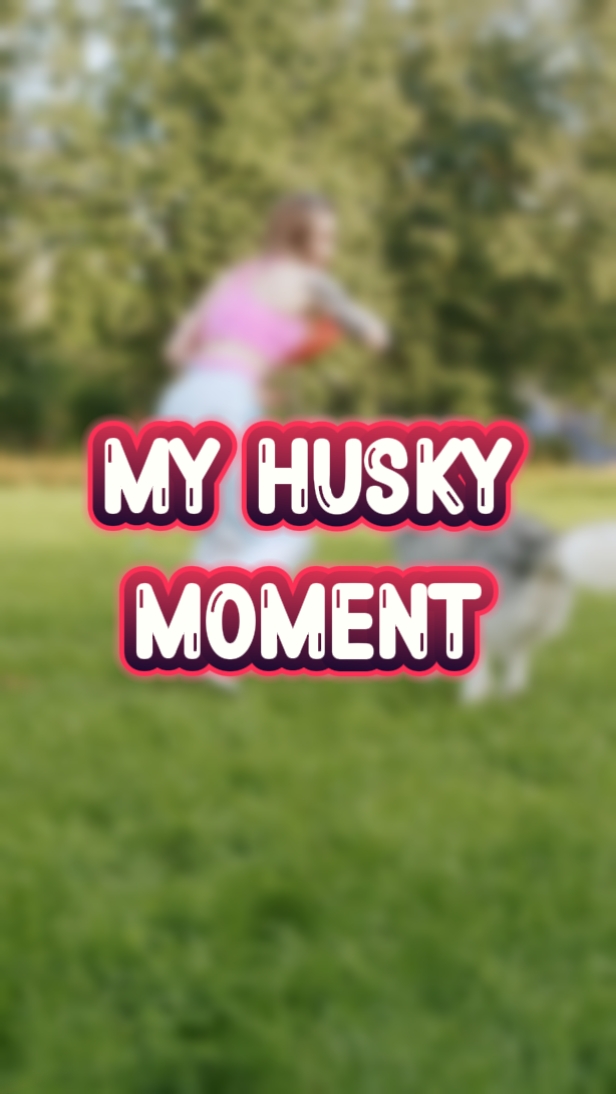 My Husky Moment 