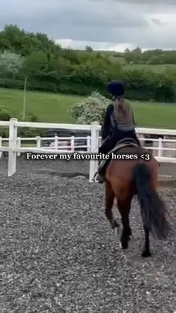 Favourite horses