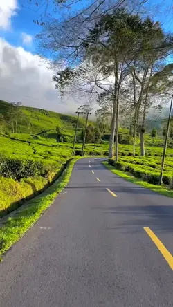 3 video klip