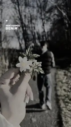 Aşk sevgi şablonu 