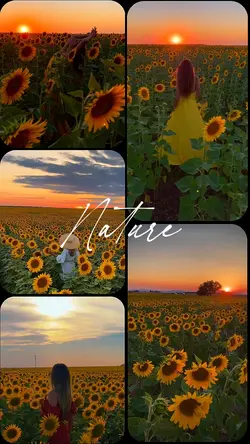 nature therapy