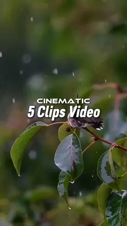 5 Clips Video