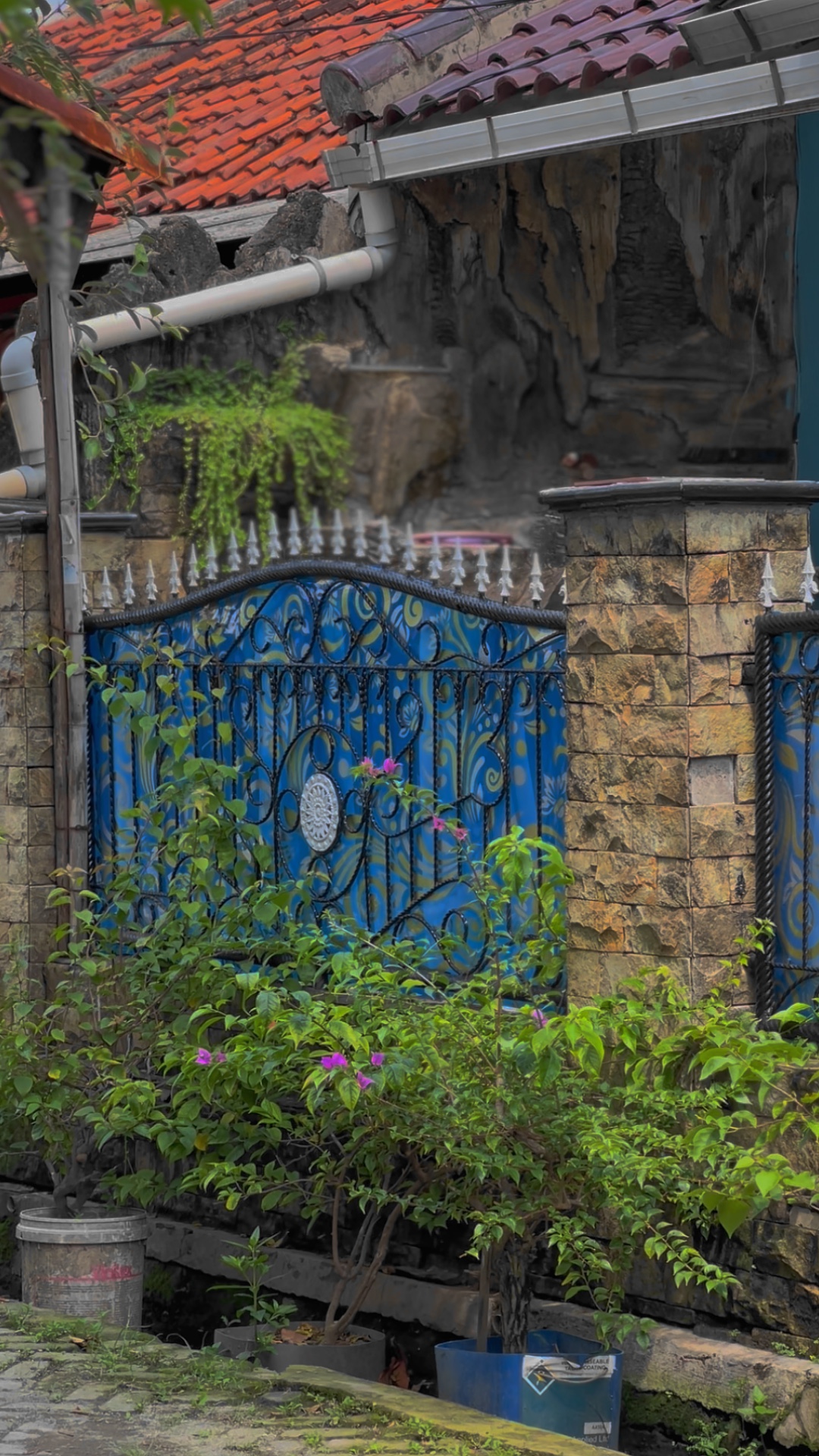 Cover Picture