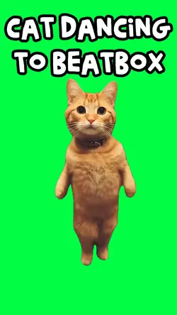 BEATBOX DANCING CAT