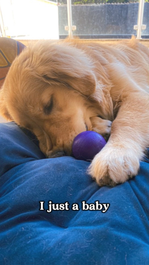 I just a baby