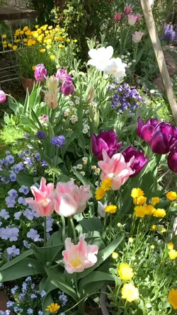 Flower Lover