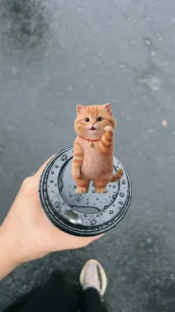 Cat Dance
