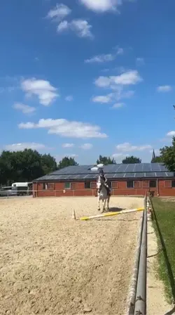 PONYHOF 