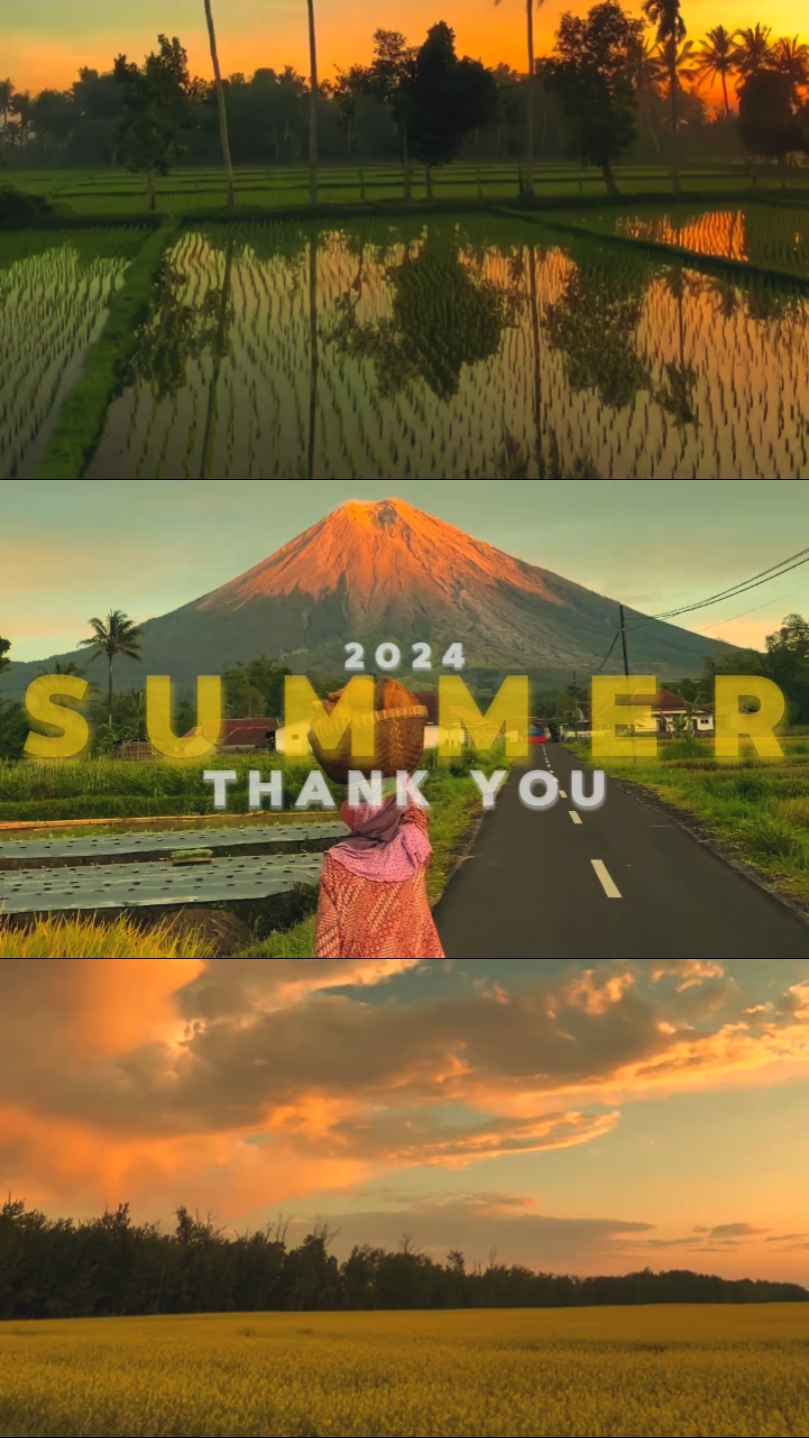 Merci, été