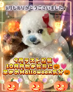 10月もよろしくお願いします