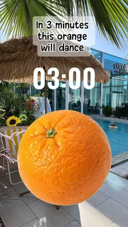 orange will dance