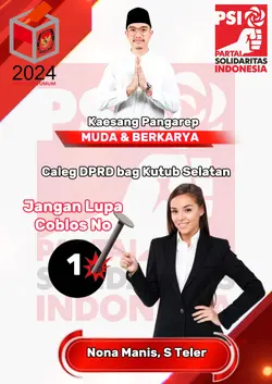 Caleg partai PSI 