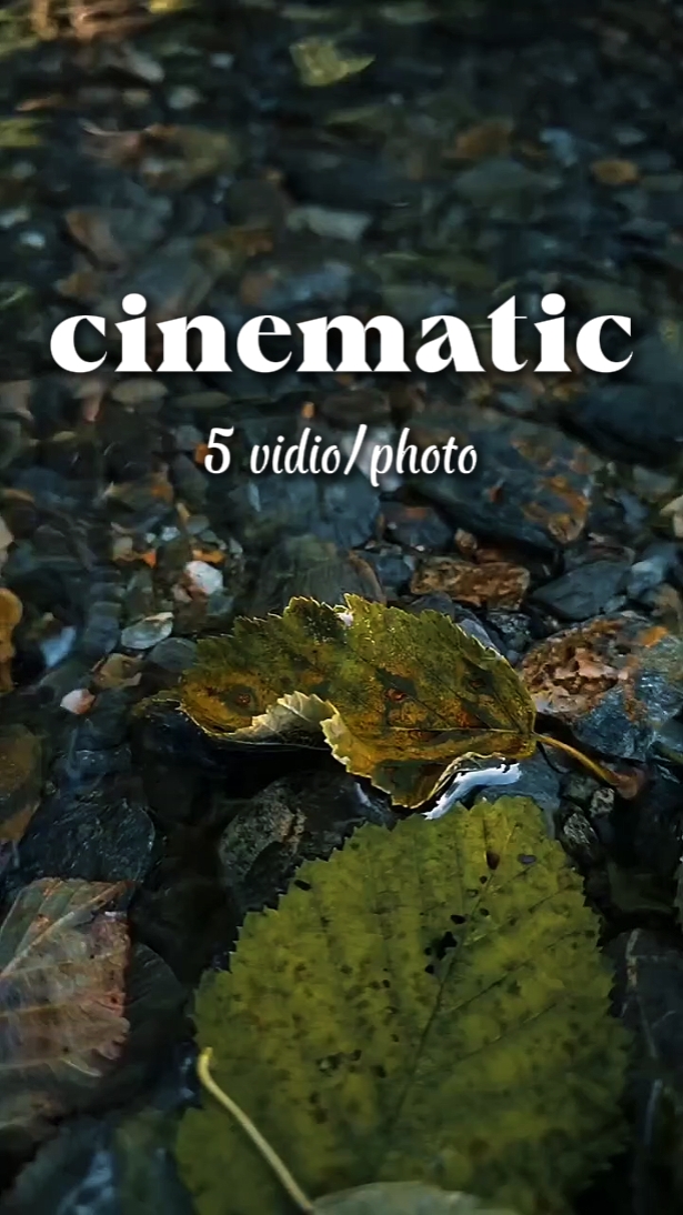 cinematic 5 vidio