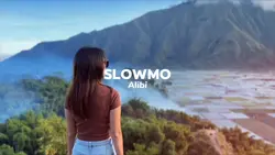 Slowmo alibi