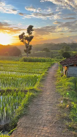 SUNET CAKEP