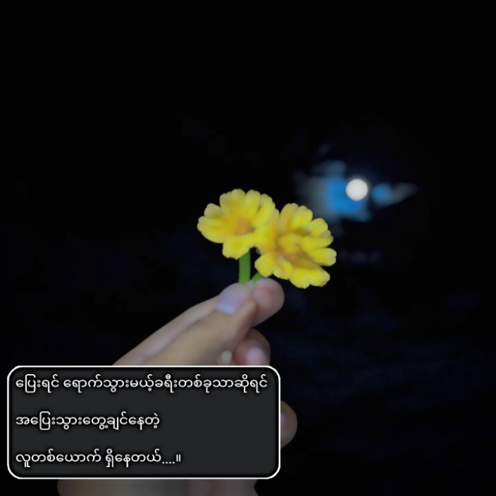 ဖြစ်နိုင်ရင်