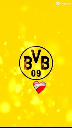 BVB Edit