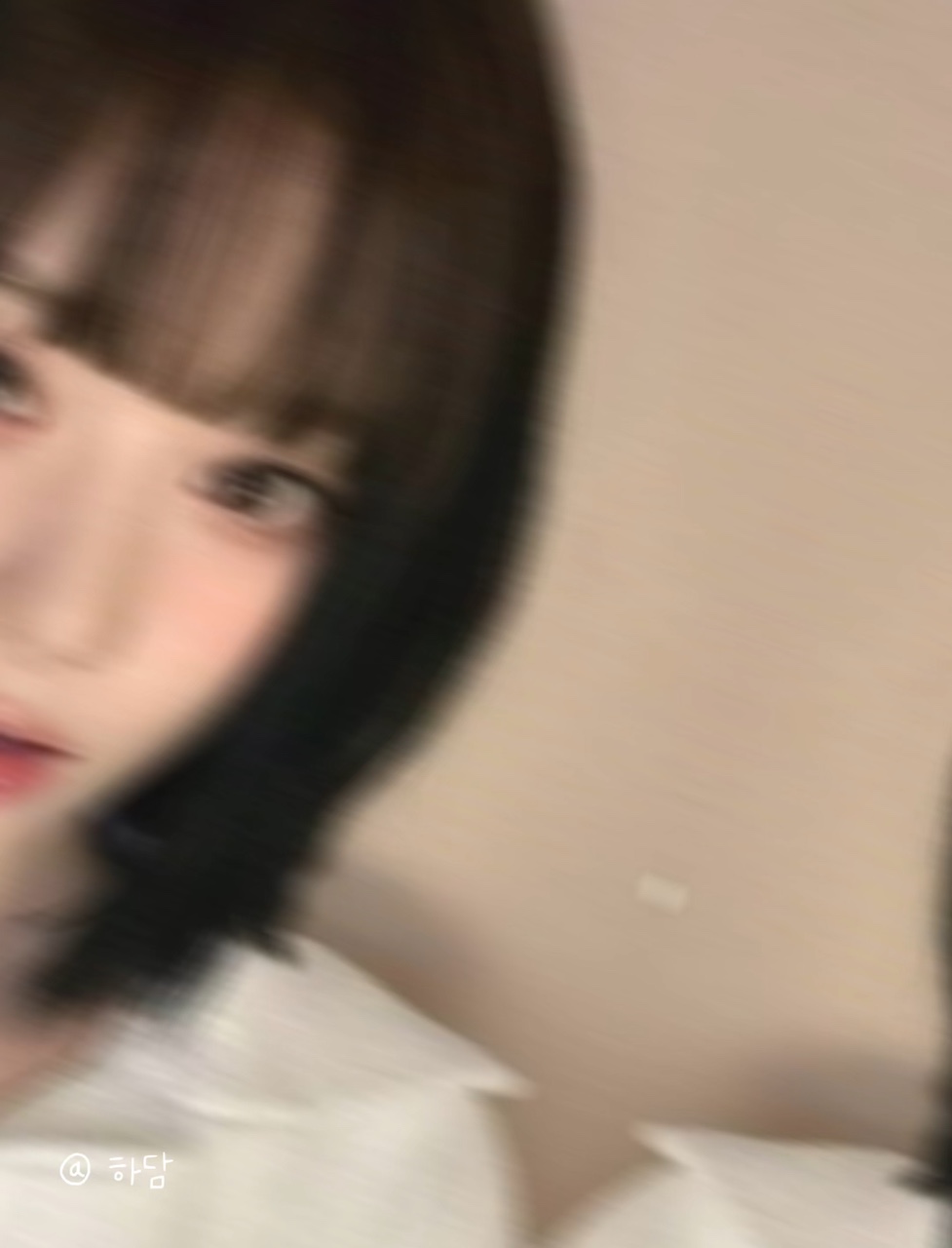 찐뺭 합작 제출