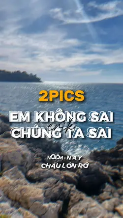 MẪU 2PICS