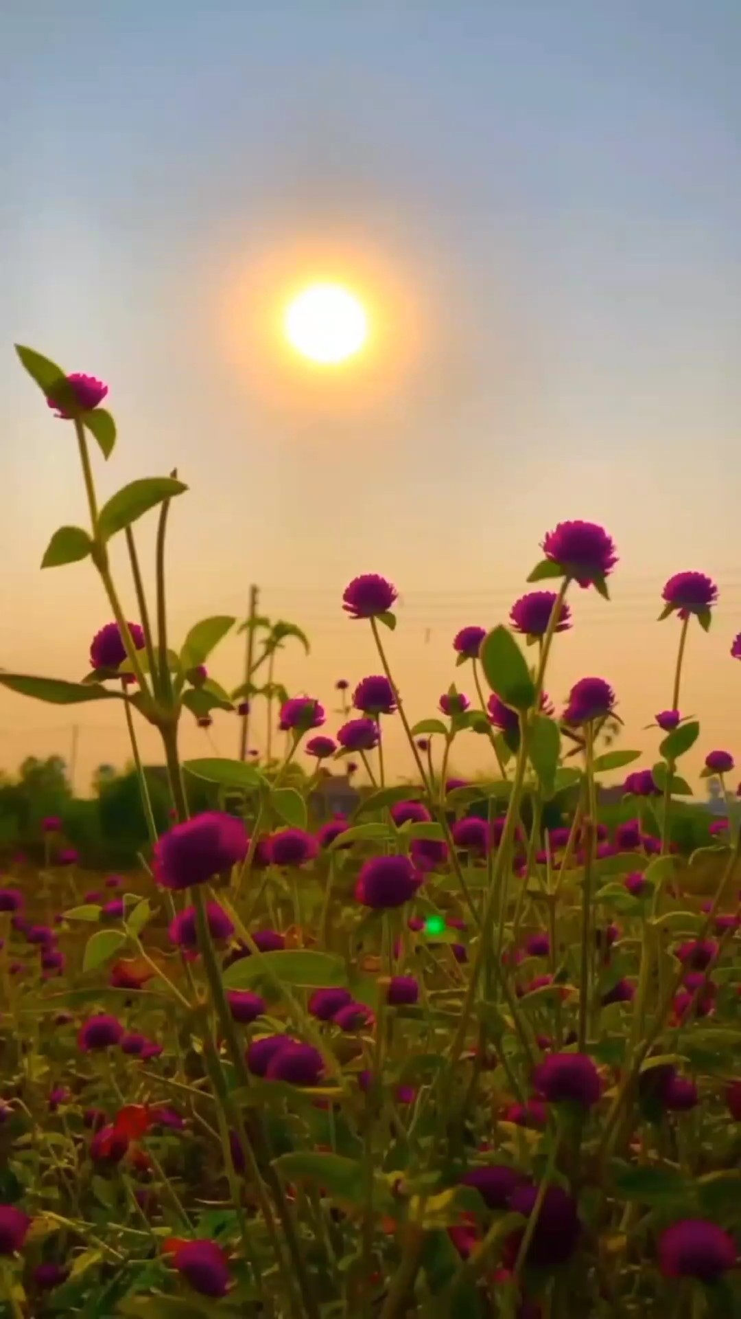 ঠিক এমন এভাবে