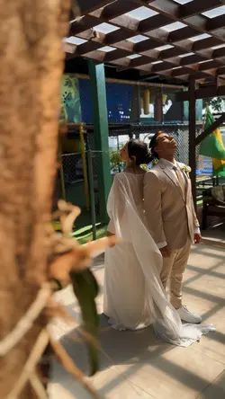 Casamento documental