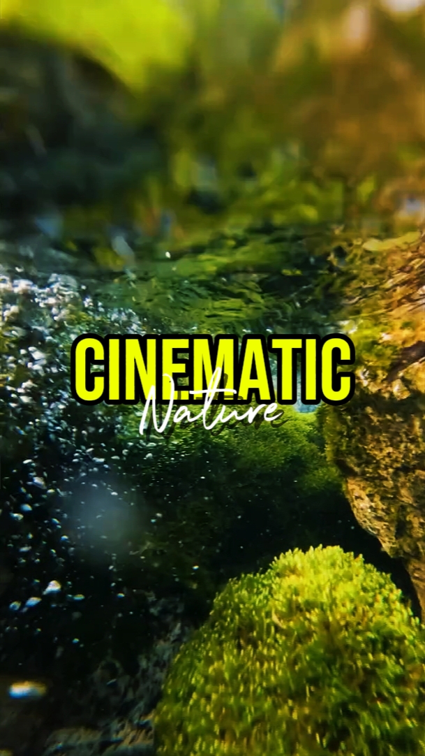 NATURE CINEMATIC