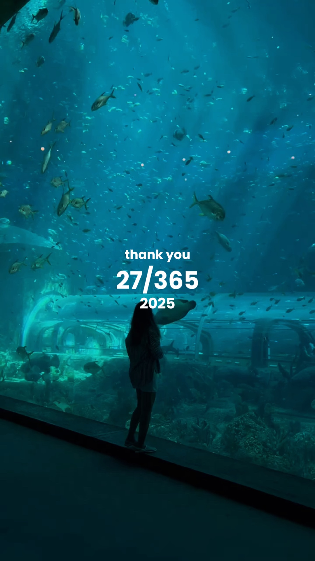 Obrigado 2025