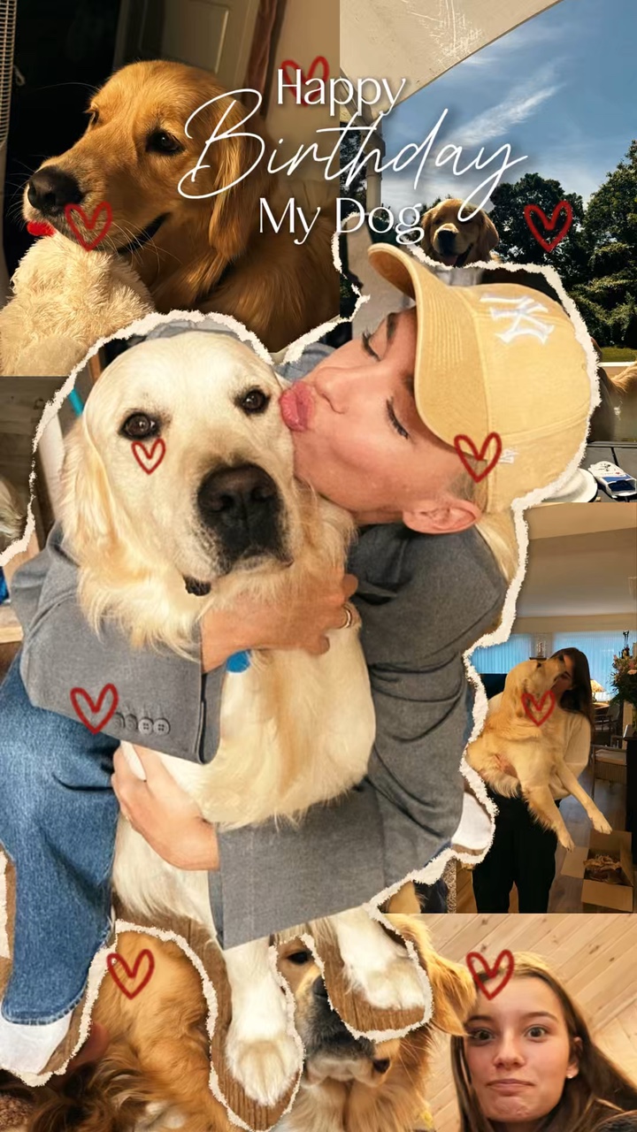 Cachorro feliz aniversário 