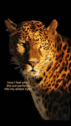 amber eyes