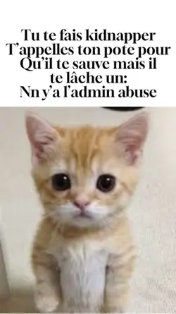 L’admin Abus 