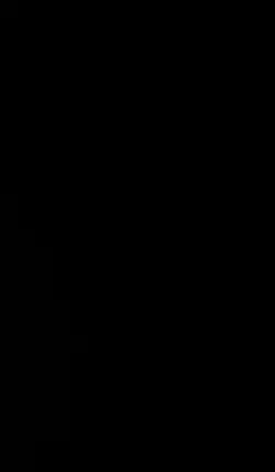 TOP4のランキング！