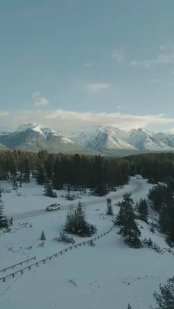 WINTER VIBES SALJU