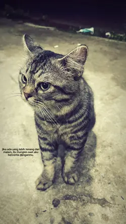 Kata-kata