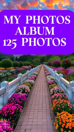 125 Photos Album