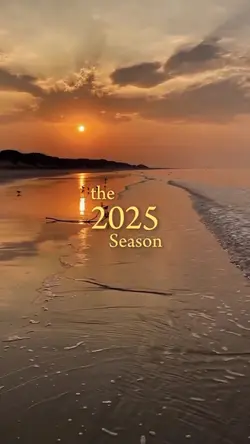 2025 COMES TO AN END