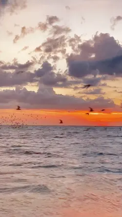 Gerua 9video slowmo