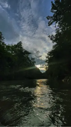 Past live sad tiktok