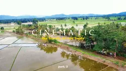 LANDSCAPE CINEMATIC 