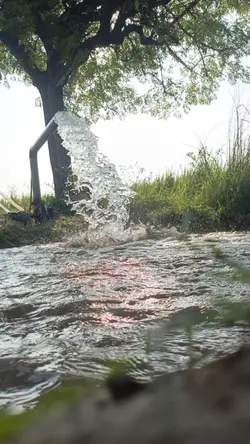 ساڈی ذات تے تہمتاں 