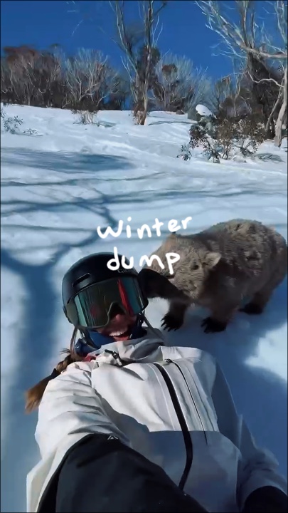 Despejo de inverno