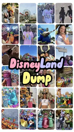 DisneyLand Dump