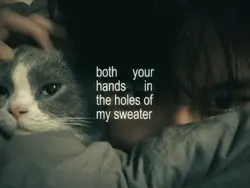 sweater weather