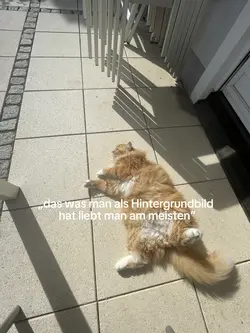 hintergrund