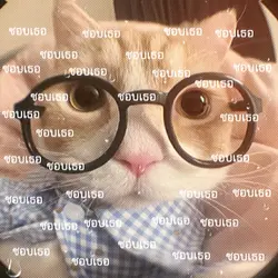 ชอบเธอ
