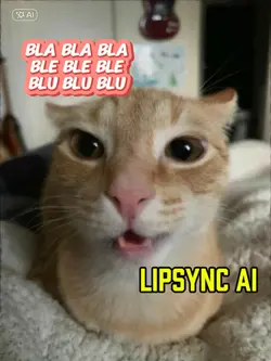 bla bla bla ble 